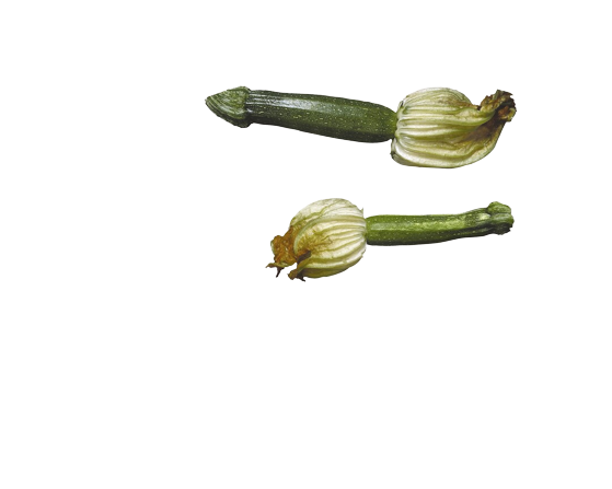 Blomst squashblomst 1stk
