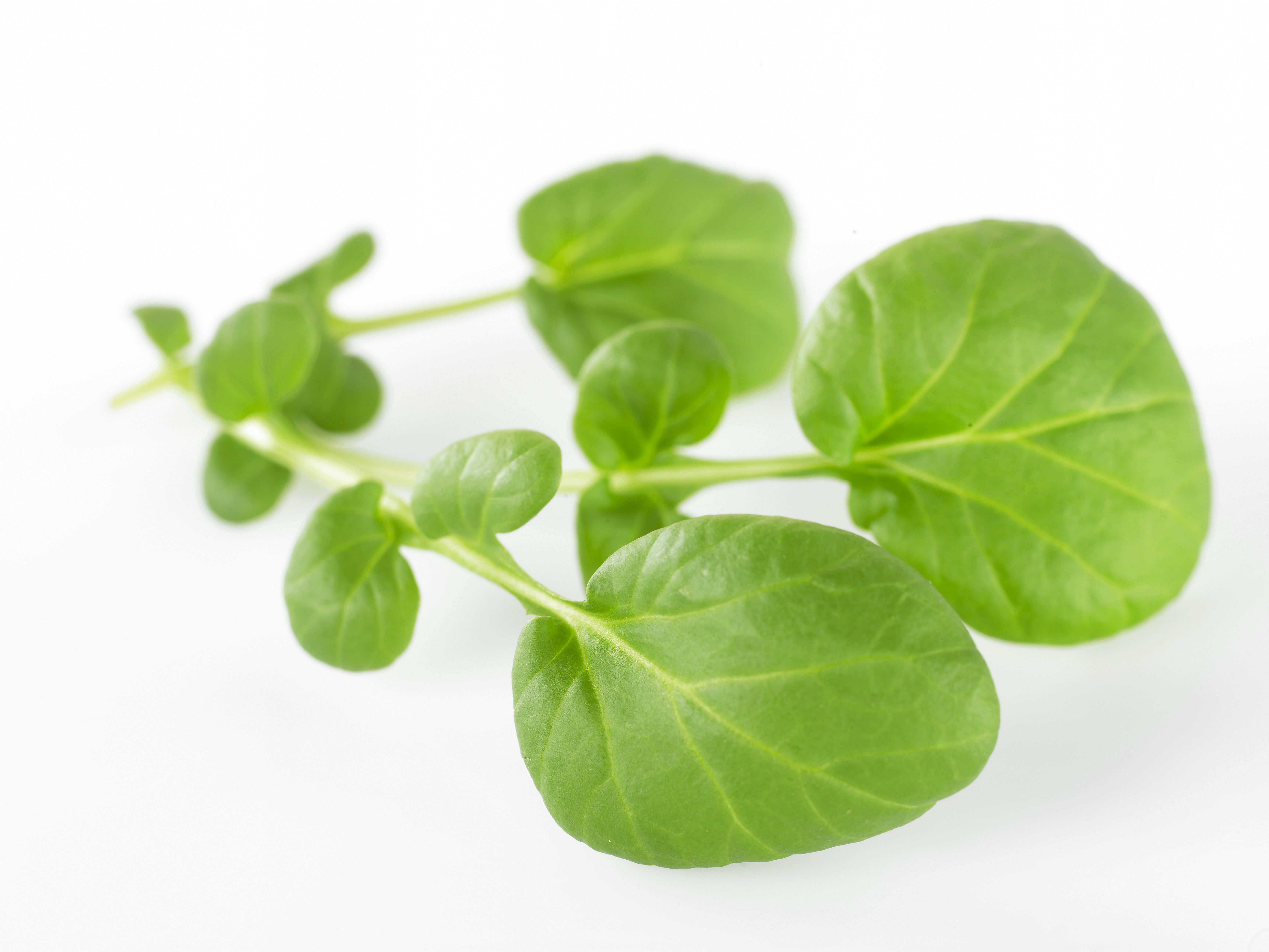 Water cress 100g