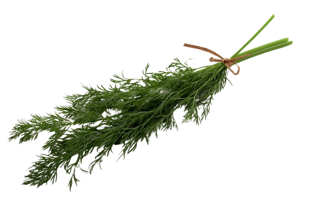 Dill fresh bundle 250g