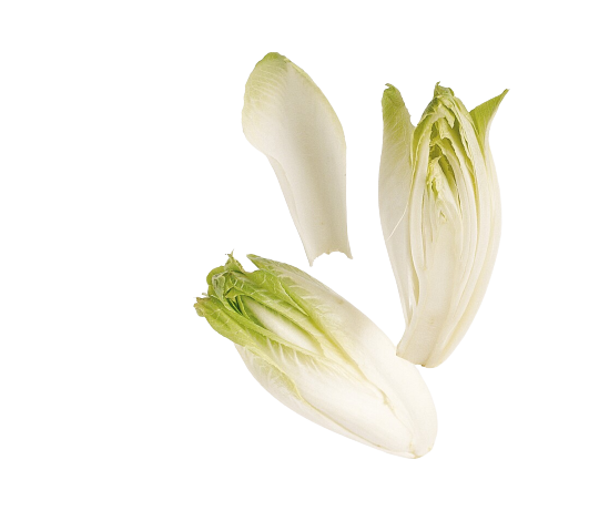Salad  endive/sikori  500g         pk