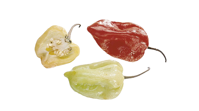 Habanero pepper gul kg