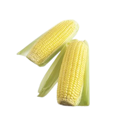 Mais kokt økol.   400g