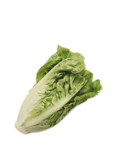 Salat hjertesalat stk