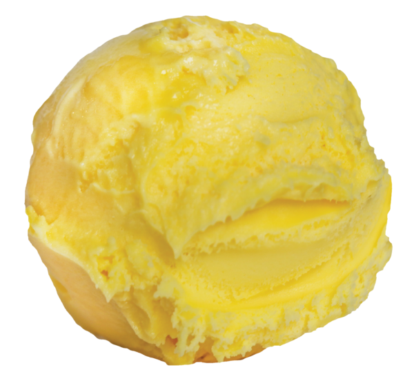 Mango sorbet   5l