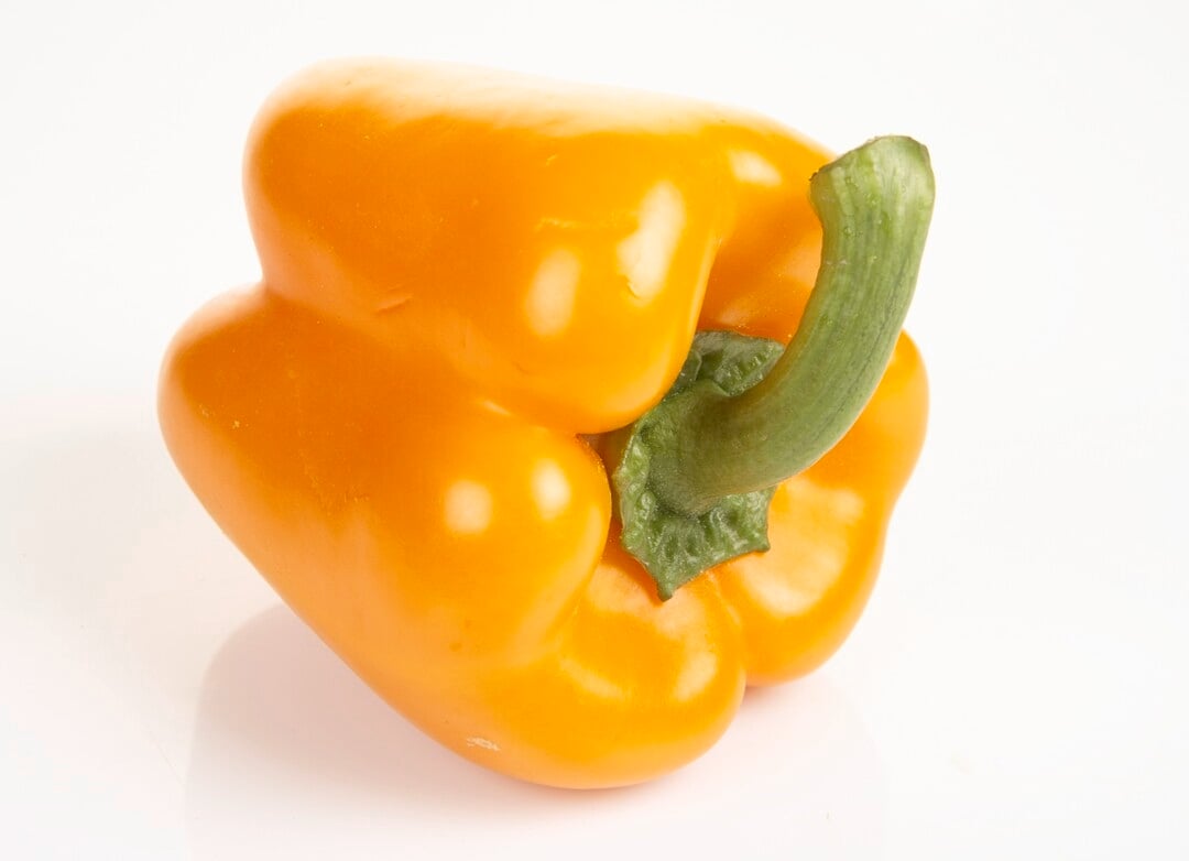 Paprika orange u/film