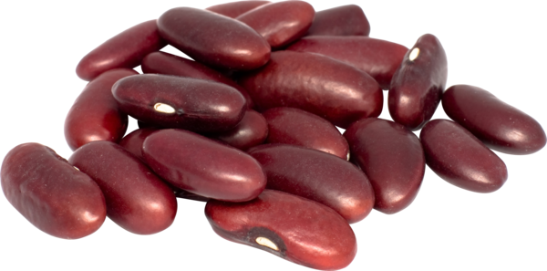 Kidneybønner røde økol. 25kg