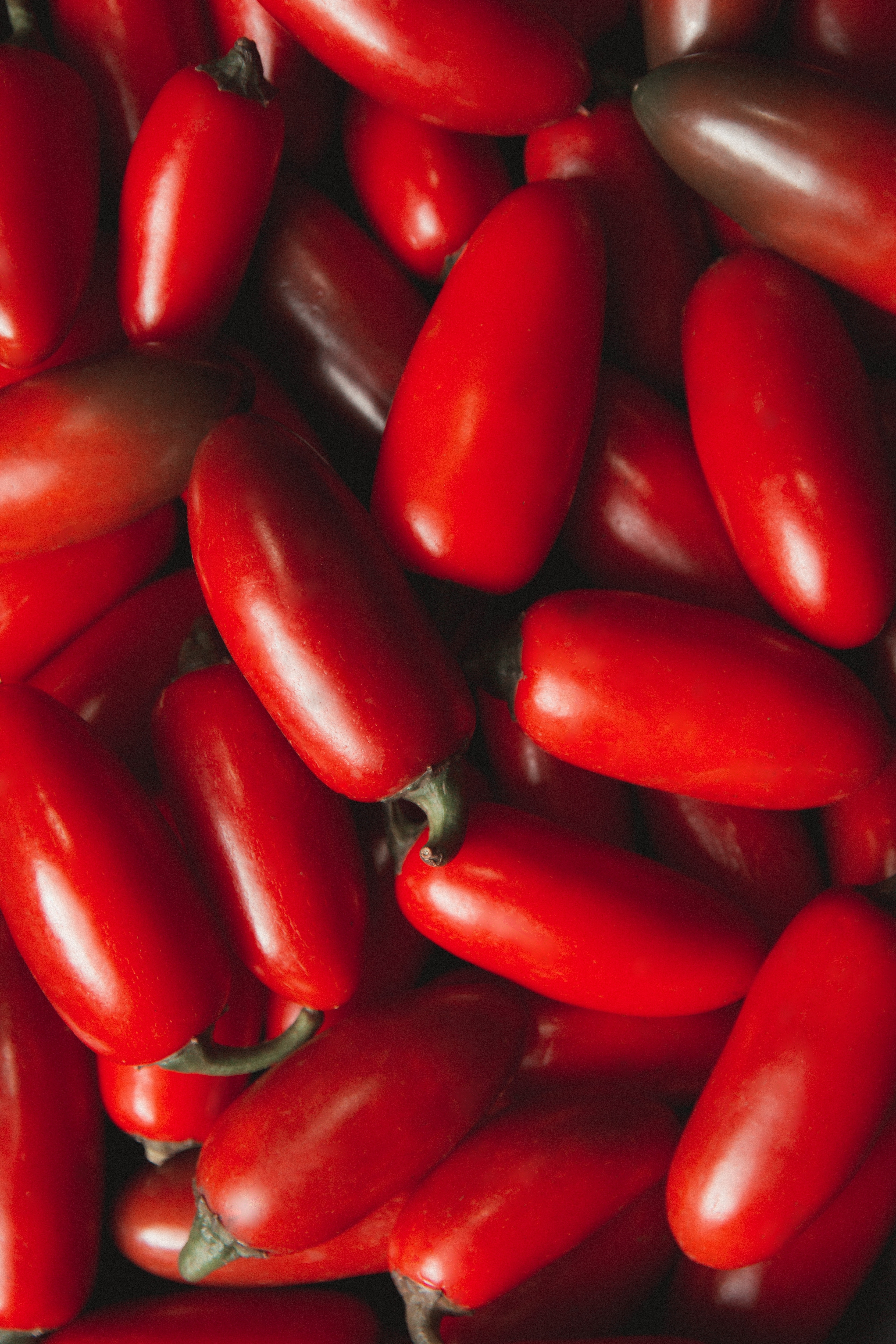 Tomater san marzano løs