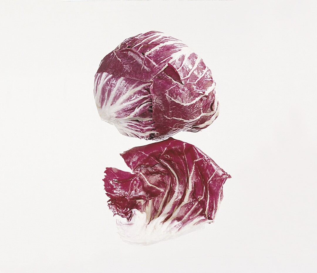 Salat raddichio rosso stk