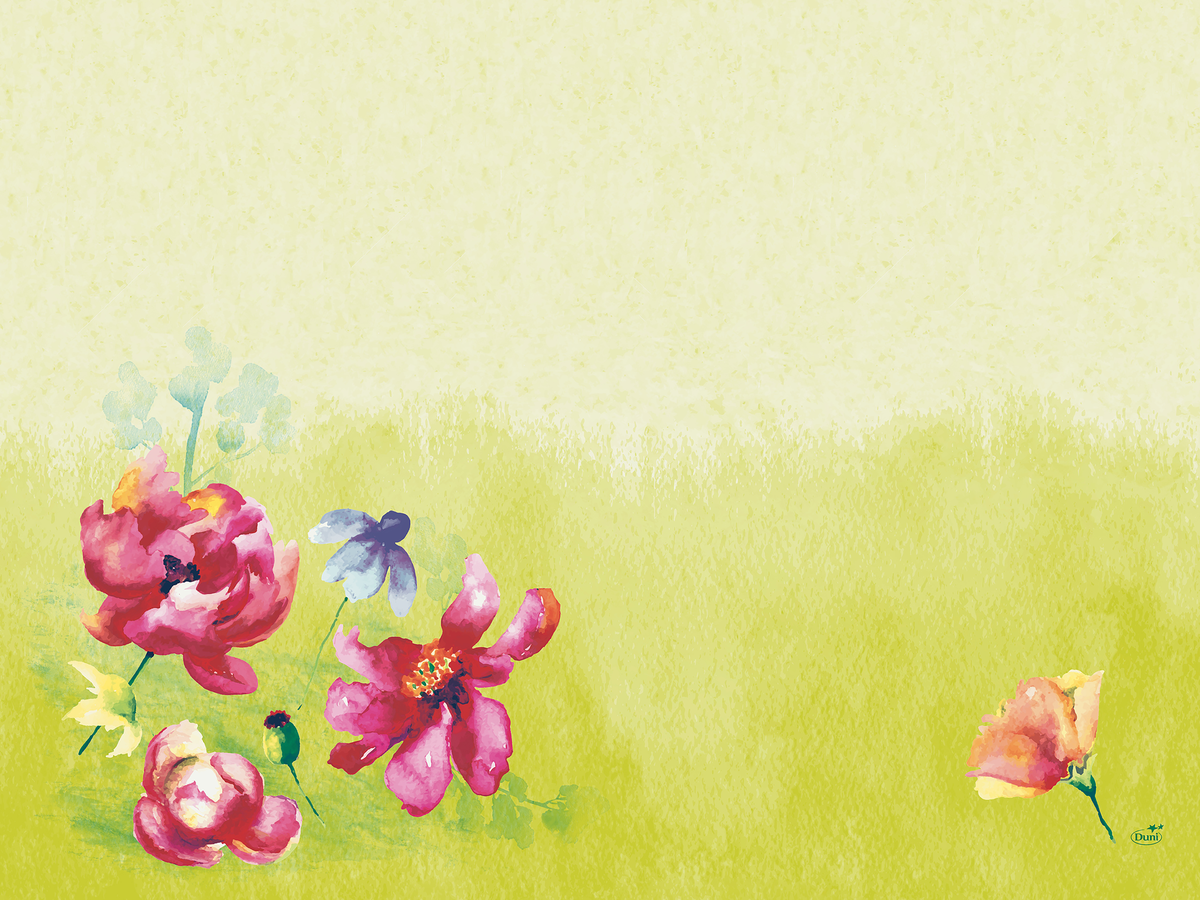 Bordbrikke papir 30x40cm garden joy 100stk