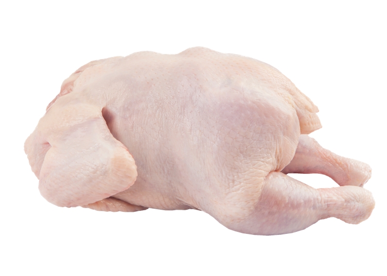Kylling hel rå  15kg