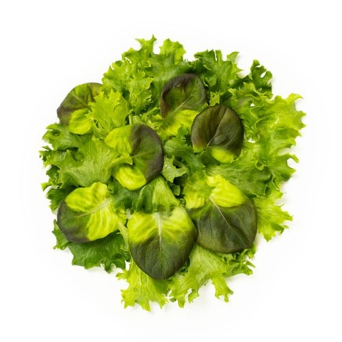 Salat onna hey baby mix vertikaldyrket   400g