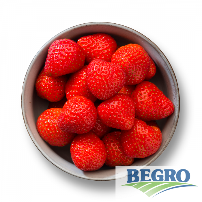 Jordbær begro 4x2,5kg t kg