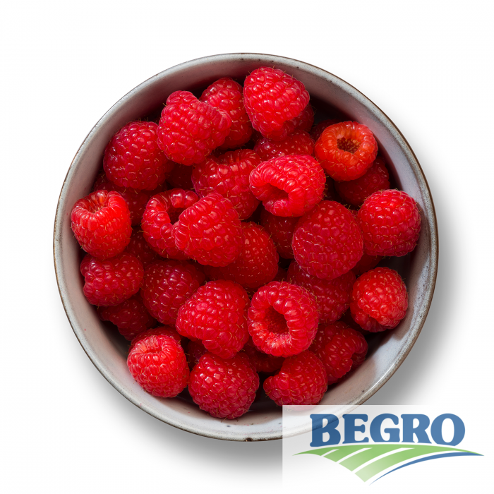 Bringebær 4x2,5kg t kg