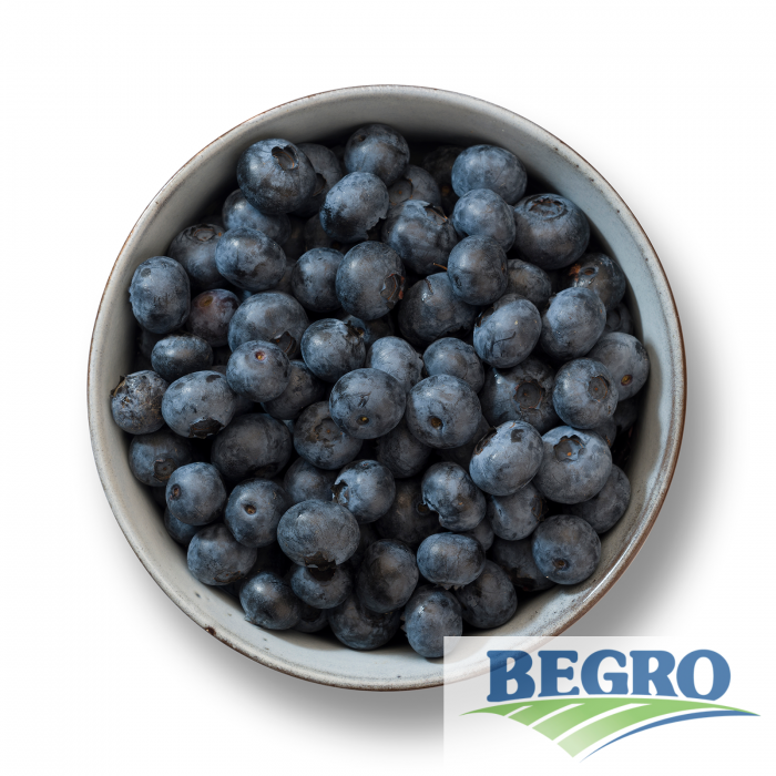 Blåbær 4x2,5kg t kg