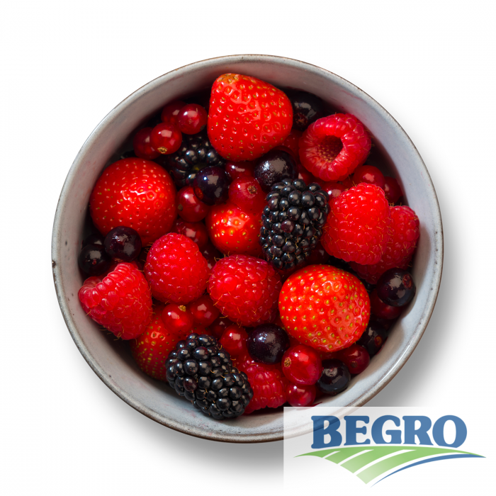Skogbær miks begro 4x2,5kg t kg