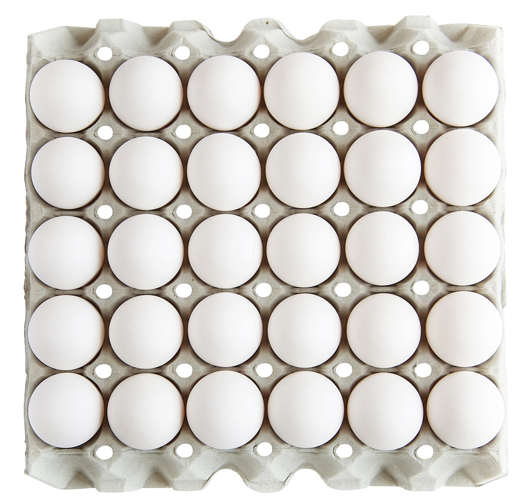 Egg l fra frittgående høner 30stk