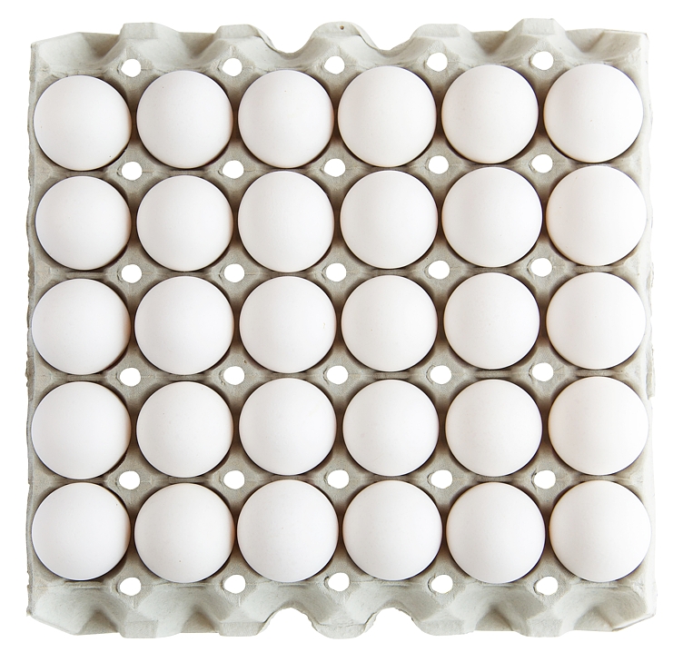 Egg m fra frittgående høner 30stk