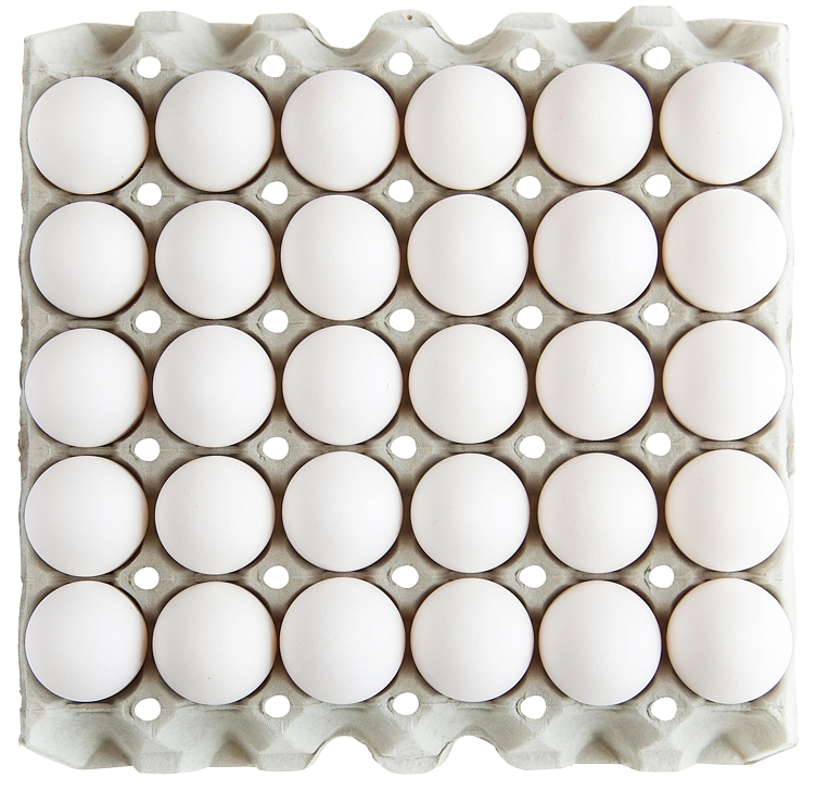 Egg fra fridtgående høner m/l24f 30stk 15,12kg