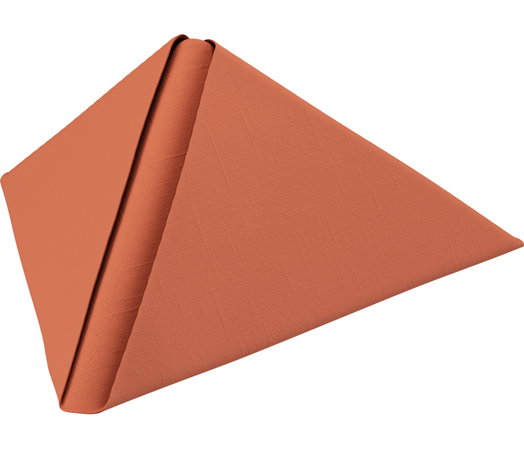 Serviett dunilin earth terra 40cm 45stk