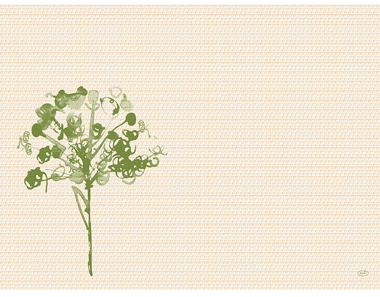 Bordbrikke bio dunicel green umbles 30x40cm   100stk