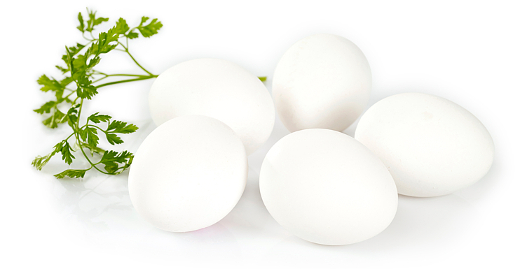 Egg ml 30 4 brett frittgående 7,56kg