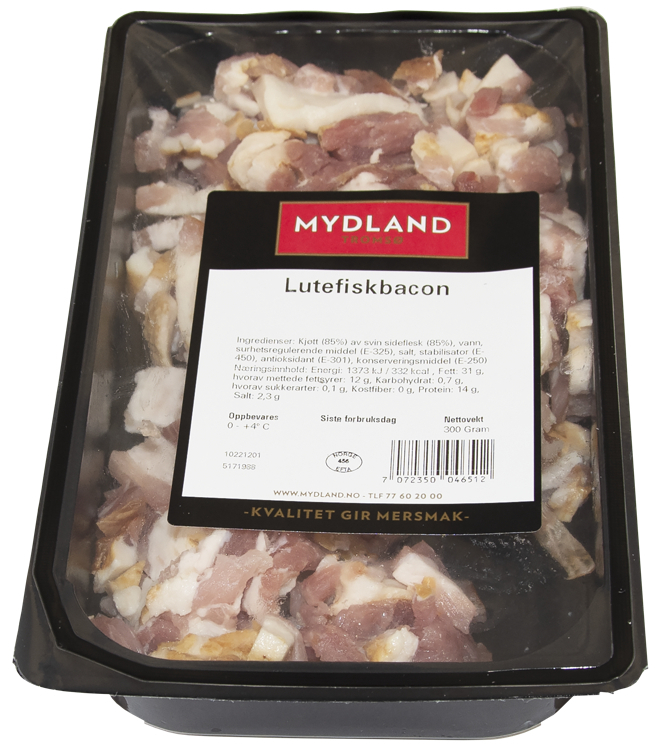 Bacon ternet premium 300g