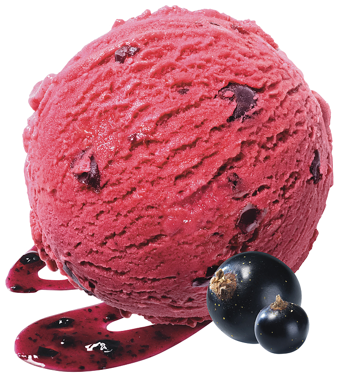 Mövenpick blackcurrant  2,4l