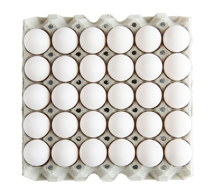 Egg fra frittgående m/l 120stk 7,56kg