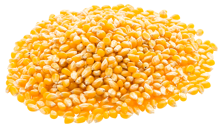 Popcornmais butterfly 46 10kg