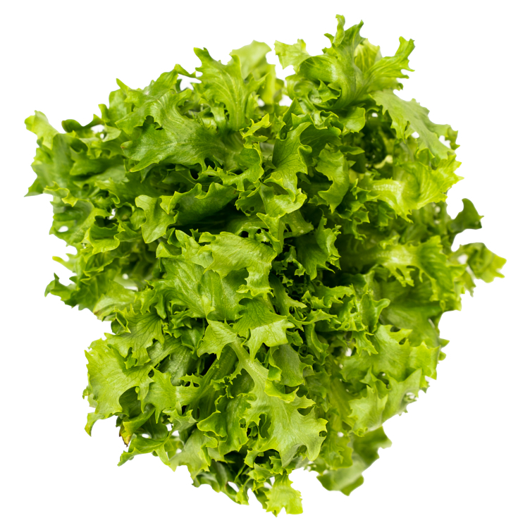 Crispi frisée løsv. spiseklar salat 1,5kg