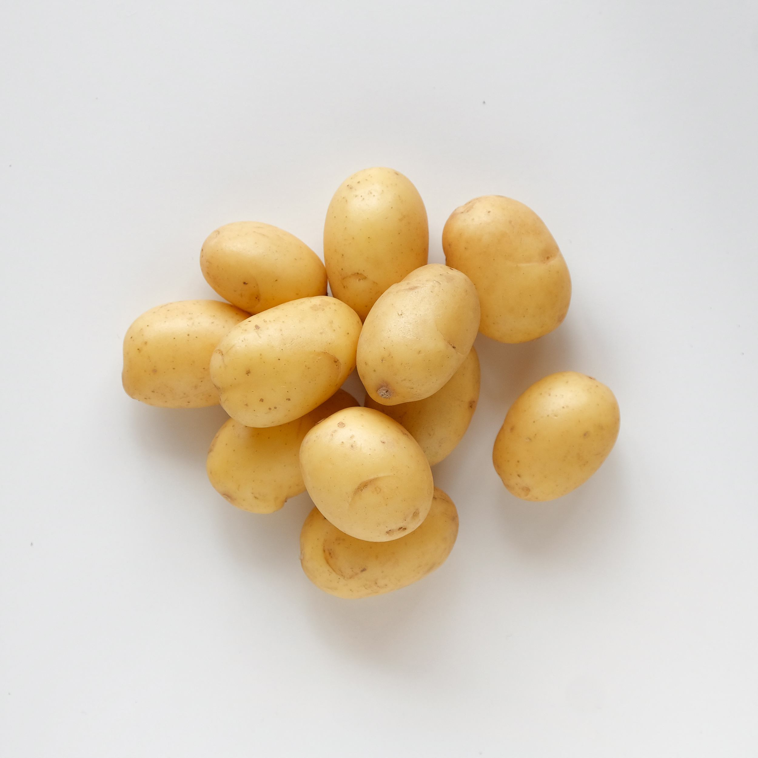 Gule småpoteter 25-32mm 5kg stk