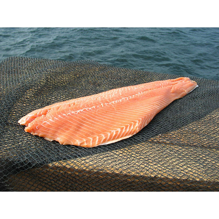 Salmon fillet w/skin c-trim    kgm