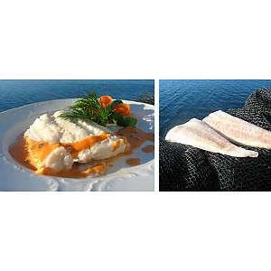 Cod filet wo/skin and bone, 125g-300g    5kg