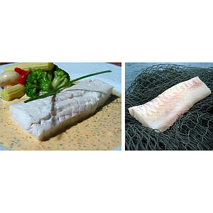Haddock back wo/skin/bones 100-130g    5kg