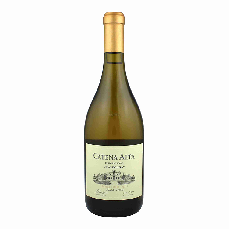 Catena alta chardonnay 14%  75cl