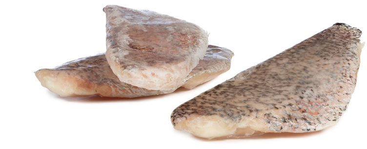 Barramundi fillet w/skin 8-10 oz  10kg