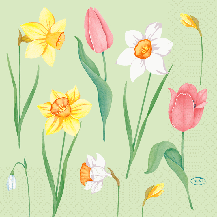 Serviett 3l 33cm spring melody  50stk