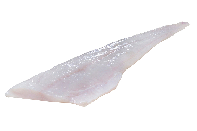 Steinbitfilet løs vekt 5kg kg