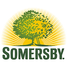 Somersby pear dmm fat 4,5% 20l