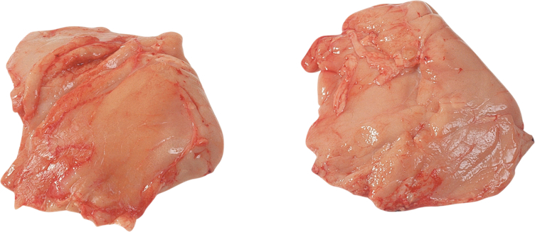 Kalv brissel ca500g kg