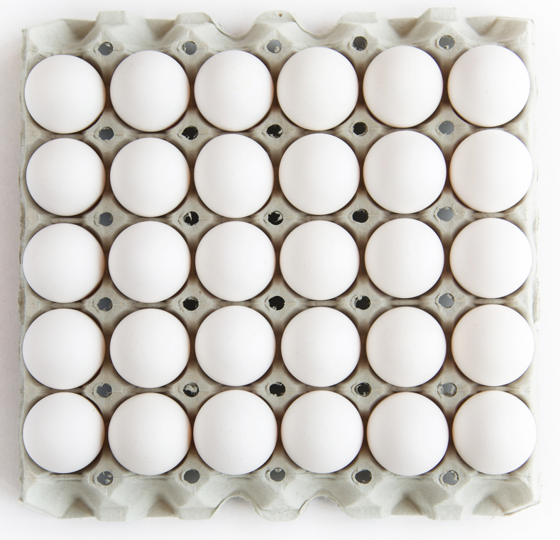 Egg finske frittgående 240stk (8 brett a 30 egg)  13,92kg