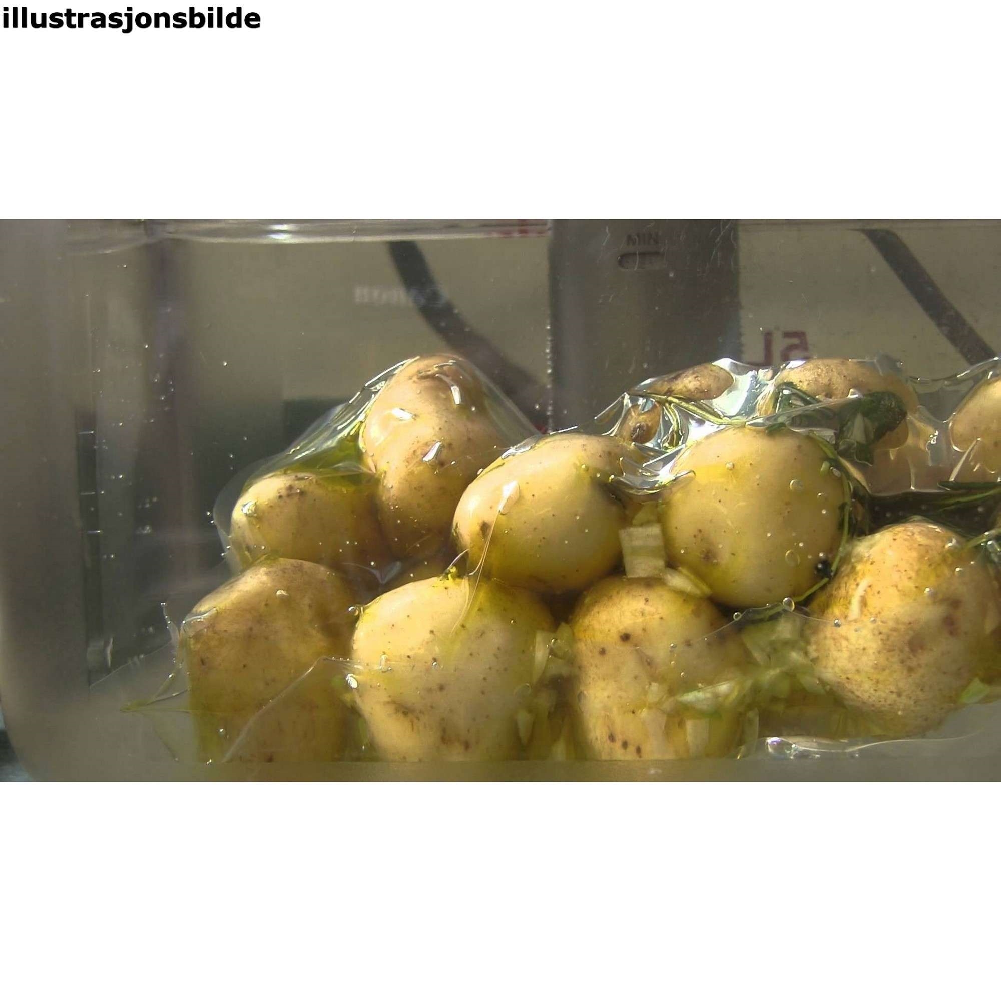 Potet sous vide 39-43mm peka t 4kg