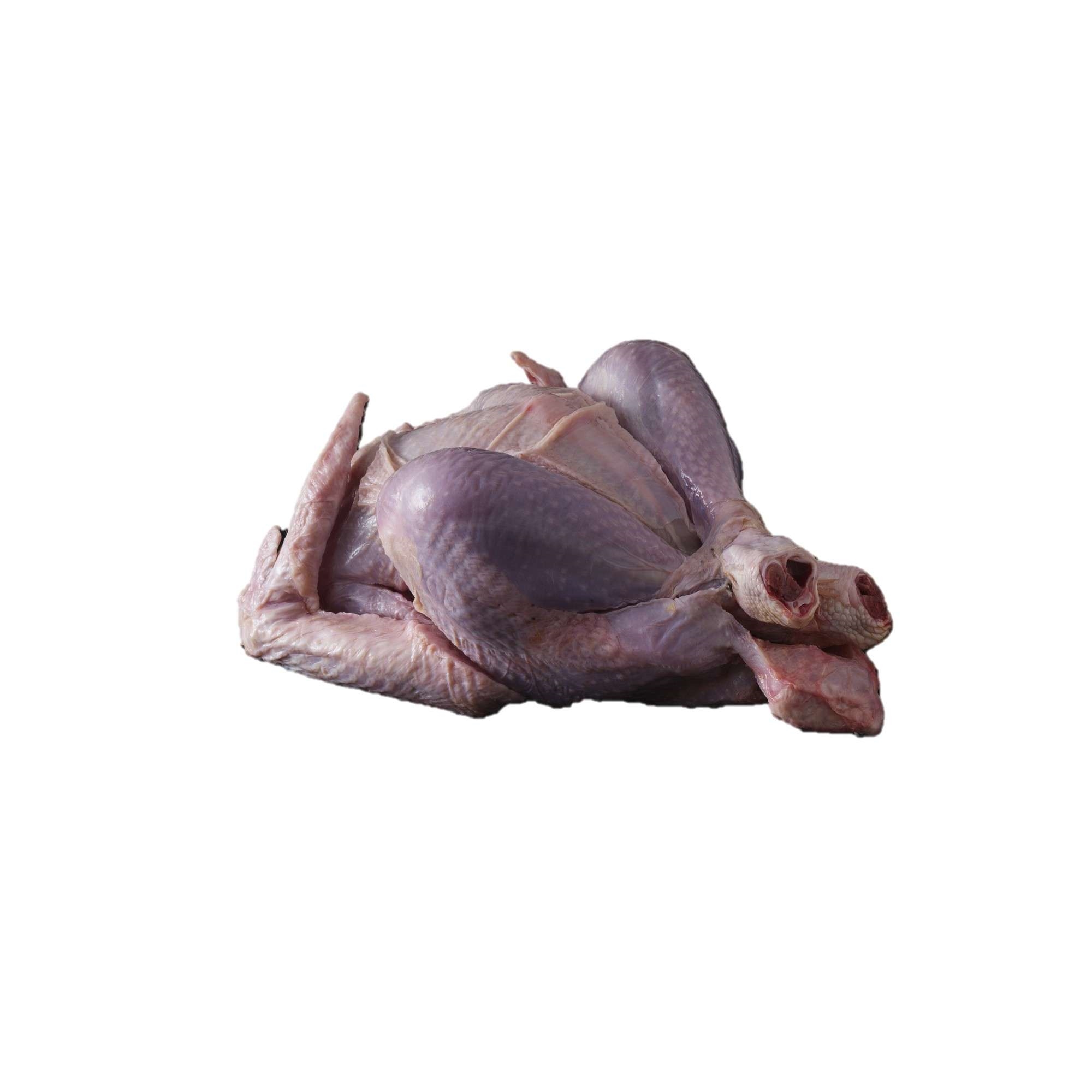 Kalkun t kg månedspris