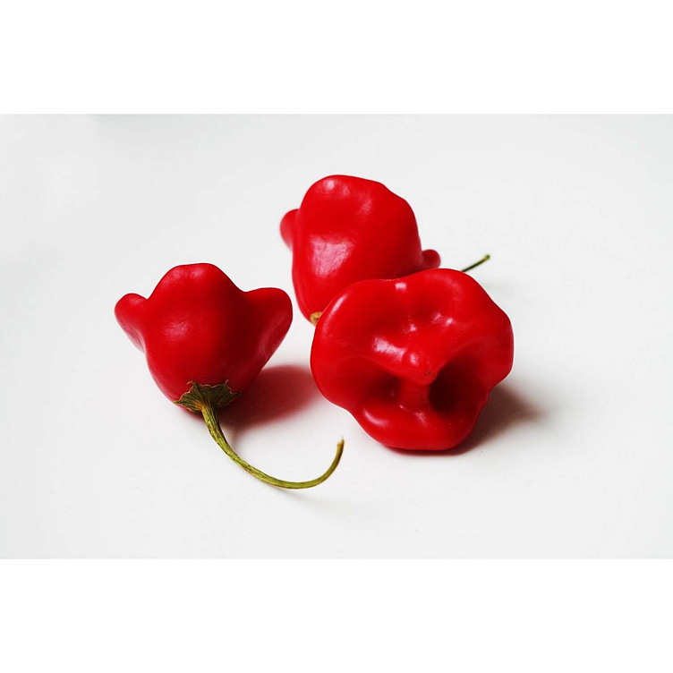 Habanero pepper rød kg
