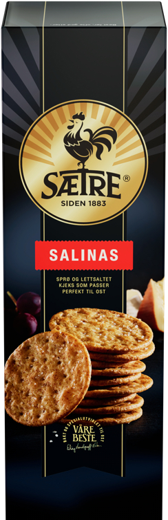 Sætres beste salinas 200g