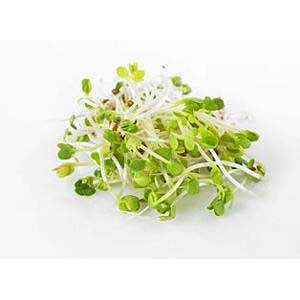 Raddish sprouts    pk