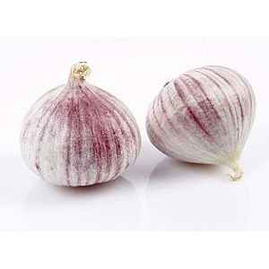 Garlic peeled china   kg