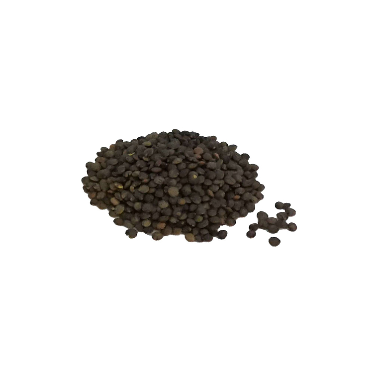 Linser grønne du puy b kg