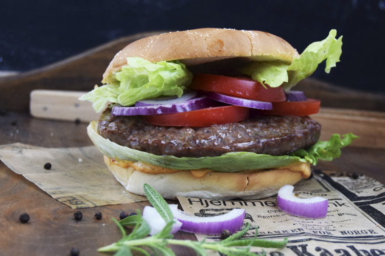 Hamburger 100% 28x255g