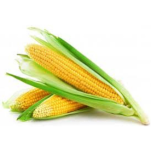 Corncob single    pcs